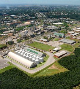 Agroindústria cresce em 2024, mas desaceleração em dezembro preocupa