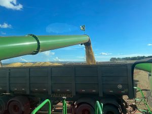 Colheita da safra de soja 2024/2025 alcança 75,8% da área em MS, aponta Aprosoja