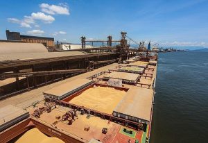 MS exportou 6,6 milhões de toneladas de soja em 2024