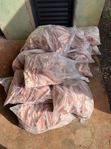 Motorista de van é detido com pescados irregulares na BR-163