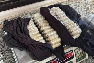 “Mulas” transportam pelo menos 3 toneladas de drogas no estômago por mês
