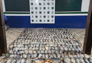 Quase 200 quilos de pescado são apreendidos no Rio Paraguai