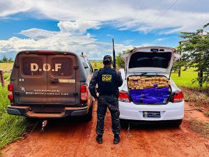 Traficante abandona carro com mais de meia tonelada de maconha