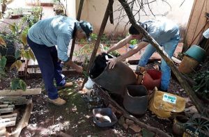 Dengue avança em Mato Grosso do Sul com mais de 3,2 mil casos confirmados