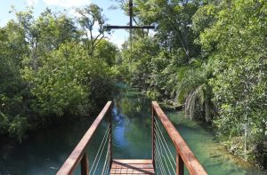 Bonito-Foto-Bruno-Rezende-35-730x480