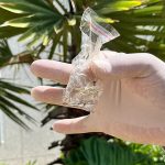 Mato Grosso do Sul registra 8.372 casos confirmados de dengue