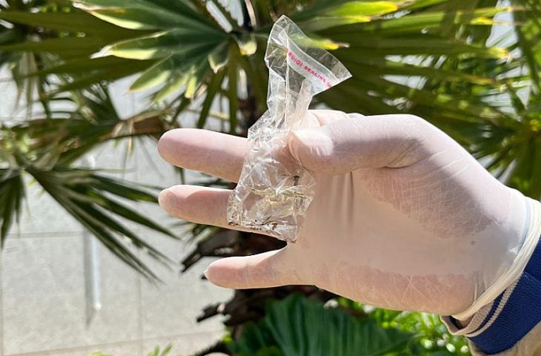 Mato Grosso do Sul registra 8.372 casos confirmados de dengue