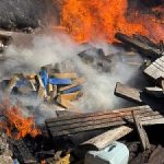 Polícia Civil incinera 4,5 toneladas de maconha apreendidas em Bela Vista