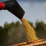 Produção de grãos na safra 2025/26 está estimada em 354,4 milhões de toneladas