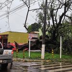 Rajada de vento derruba árvores e destelha casas em Dourados