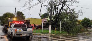 Rajada de vento derruba árvores e destelha casas em Dourados
