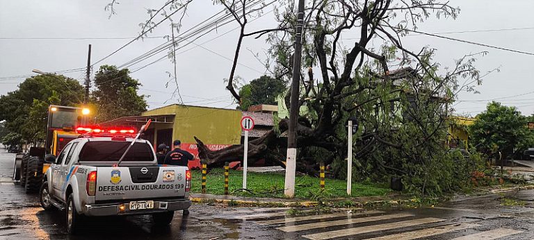 Rajada de vento derruba árvores e destelha casas em Dourados