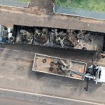 Receita Federal destina oliveiras argentinas centenárias apreendidas a universidades públicas