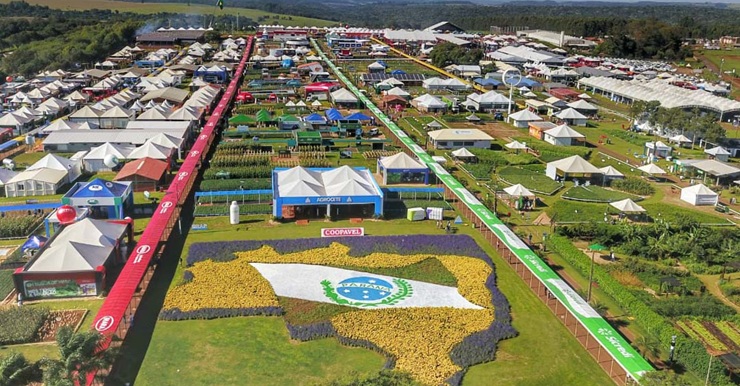 cascavel-e-agro.jpg