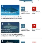 260130-info-tubaroes-recife.jpg