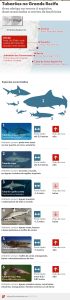 260130-info-tubaroes-recife.jpg