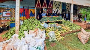 Agricultura Familiar distribui quase 10 toneladas de alimentos a indígenas