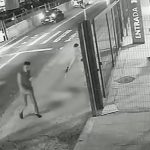 Cachorro é morto com dez tiros em frente a ponto de ônibus em SP