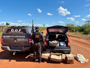 Homem é preso pelo DOF com 150 quilos de agrotóxicos em Itaquiraí