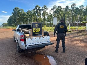 Motorista é preso com R$ 310 mil em agrotóxicos do Paraguai na MS-164