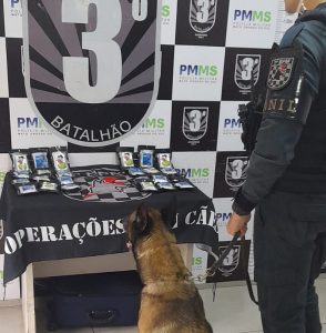 Mulher é presa pela PM com 2,5 quilos de haxixe em ônibus em Dourados