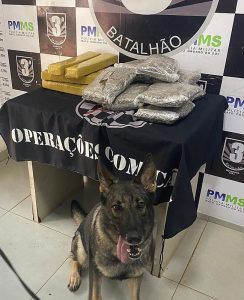 Paranaense é flagrada transportando maconha em ônibus na Avenida Coronel Ponciano