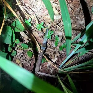 Policial civil é vítima de tentativa de estupro durante corrida em avenida; autor está preso