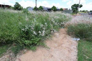 Prazo para limpeza de terrenos baldios termina dia 5 de fevereiro em Dourados