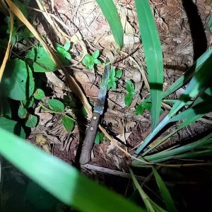 Rapaz preso por tentar estuprar policial civil tem preventiva decretada