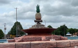 abacaxi-gigante-em-ananas-simbolo-do-nome-da-cidade.png