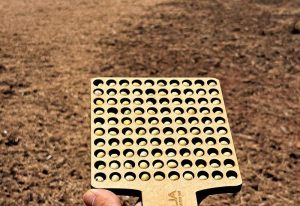 Colheita da soja alcança 6,2% e plantio do milho atinge 5,8% em MS