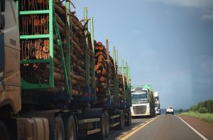 Concessão da Rota da Celulose garante segurança viária a Mato Grosso do Sul