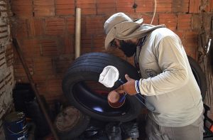 Mato Grosso do Sul registra 79 casos confirmados de dengue e 816 prováveis