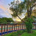 Mato Grosso do Sul segue sob alerta para chuvas intensas e ventos fortes