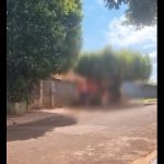 VÍDEO: Homem é preso em Douradina após agredir cadela com vara em via pública