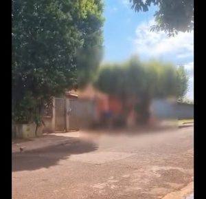 VÍDEO: Homem é preso em Douradina após agredir cadela com vara em via pública