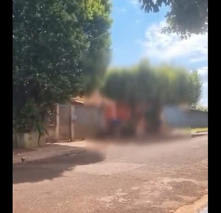 VÍDEO: Homem é preso em Douradina após agredir cadela com vara em via pública