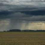 Com chuvas irregulares e calor acima da média, 2ª safra 2025/2026 exige atenção