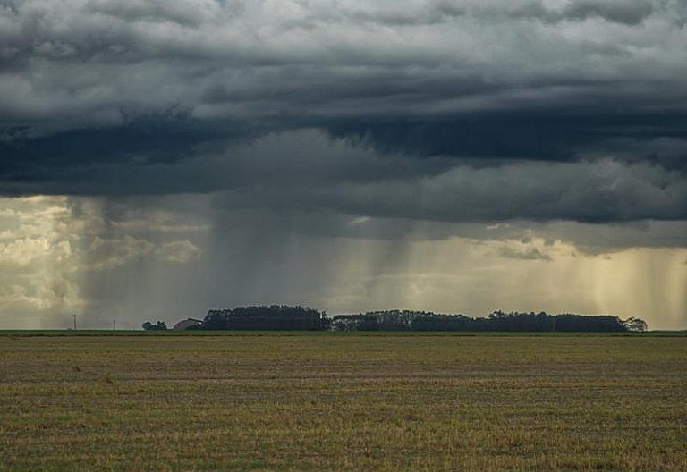 Com chuvas irregulares e calor acima da média, 2ª safra 2025/2026 exige atenção