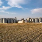 Comercialização de soja e milho apresenta ritmo cauteloso em Mato Grosso do Sul