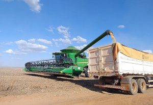 Crédito rural cai 46% em MS e produtor prioriza manter a lavoura