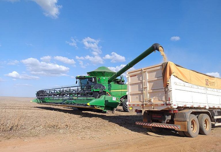 Crédito rural cai 46% em MS e produtor prioriza manter a lavoura