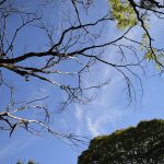 Domingo com sol e possibilidades de pancadas de chuva em Dourados