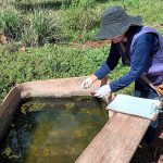 Dourados confirma 4ª morte por chikungunya nas aldeias; doença avança