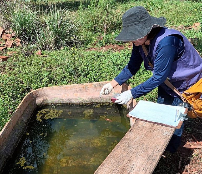 Dourados confirma 4ª morte por chikungunya nas aldeias; doença avança