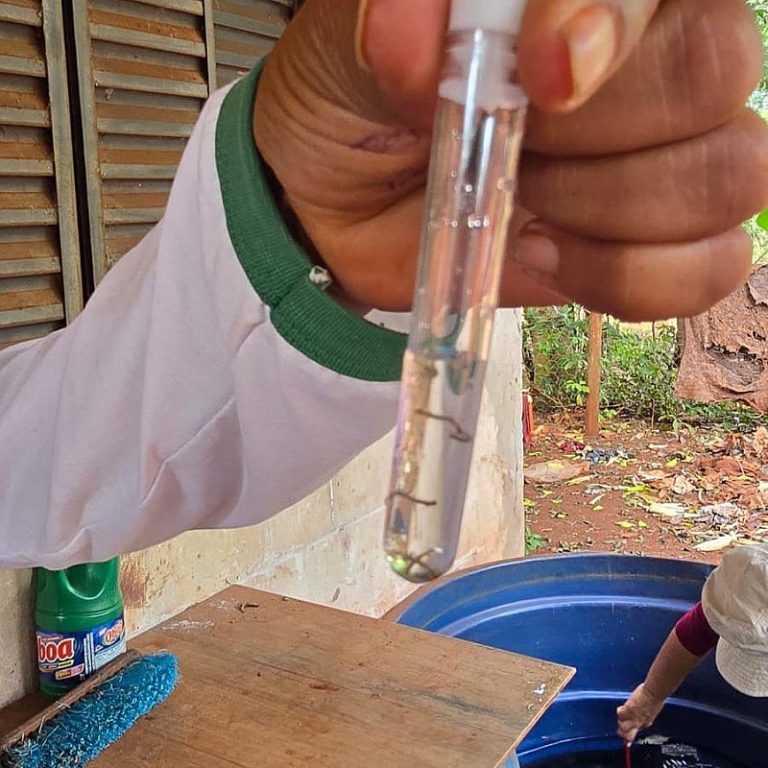 Dourados registra 1,4 mil casos prováveis de Chikungunya e alerta para sobrecarga
