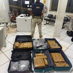 Passageiros são flagrados com maconha e skunk em ônibus na fronteira