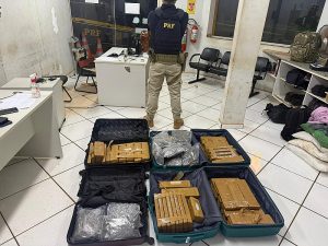 Passageiros são flagrados com maconha e skunk em ônibus na fronteira