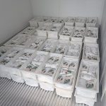 Prefeitura entrega quase 700 litros de leite em Dourados