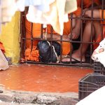 Projeto Lupa realiza ações no presídio de Dourados, maior unidade do estado